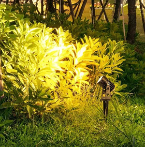 Complete Tuinspot Set | Tuinverlichting 12V | Plug and Play | 1 Tuinspot | Warm/wit Livolo Nederland B.V.