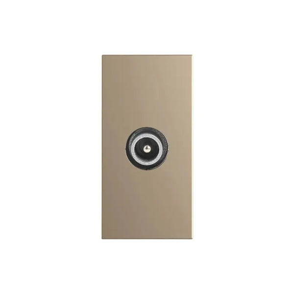 Livolo | Blanc | SR | Cheville | TV | Femelle