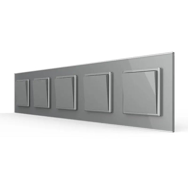 Livolo | Grijs | 1+1+1+1+1 | Aan/Uit | Wipschakelaar Livolo Nederland B.V.