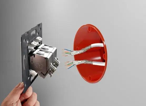 Livolo | Grijs | SR | Enkel | Netwerk - RJ45 | Cat.6A Livolo Nederland B.V.