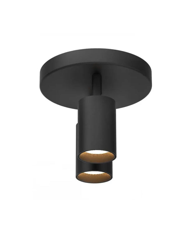 Plafondlamp | Zwart | 2 | LED spot | Rond | Verstelbaar Livolo Nederland B.V.