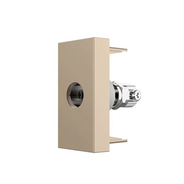 Livolo | Goud | SR | Enkel | TV | Female Livolo Nederland B.V.