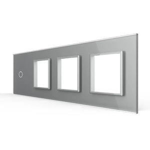 Livolo | Grijs | 1+SR+SR+SR | Glasplaat | Combinatie Livolo Nederland B.V.