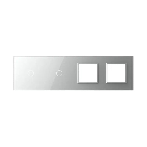 Livolo | Grijs | 1+1+SR+SR | Glasplaat | Combinatie Livolo Nederland B.V.