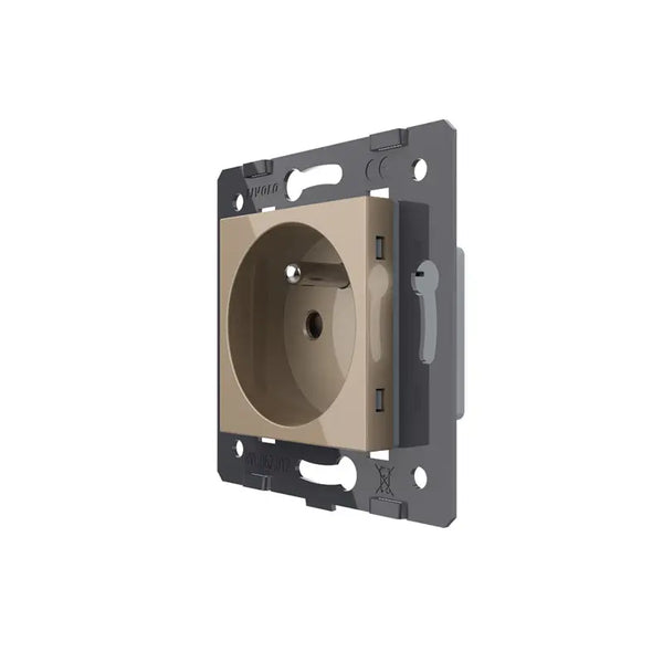 Livolo | Goud | SR | Module | Wandcontactdoos | France Livolo Nederland B.V.