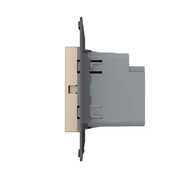 Livolo | Goud | SR | Module | USB + USB-C oplader Livolo Nederland B.V.