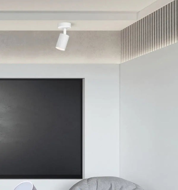 Plafondlamp | Wit | 1 | LED spot | Rond | Verstelbaar Livolo Nederland B.V.