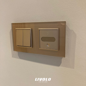 SR-schakelaars-Combinatie Livolo