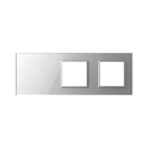 Livolo | Grijs | 1+SR+SR | Glasplaat | Combinatie Livolo Nederland B.V.