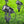 Complete Tuinspot Set | Tuinverlichting 12V | Plug and Play | 8 Tuinspots | Warm/wit Livolo Nederland B.V.