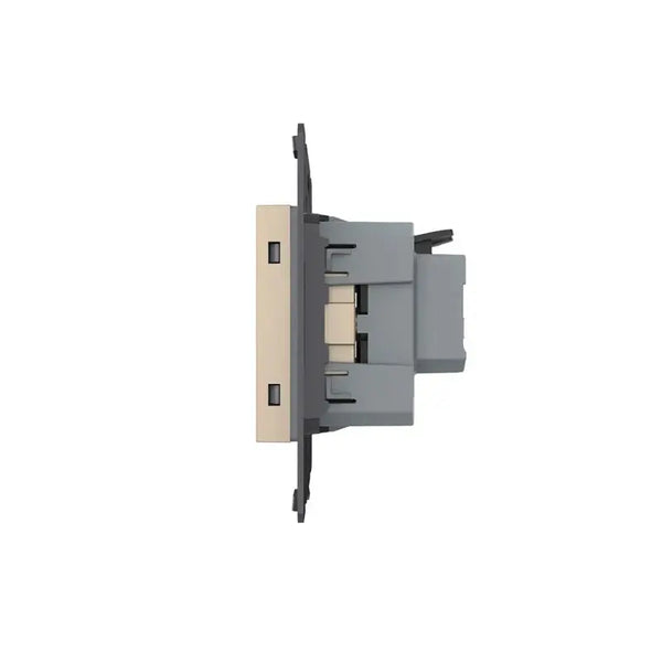 Livolo | Goud | SR | Module | Wandcontactdoos Livolo Nederland BV