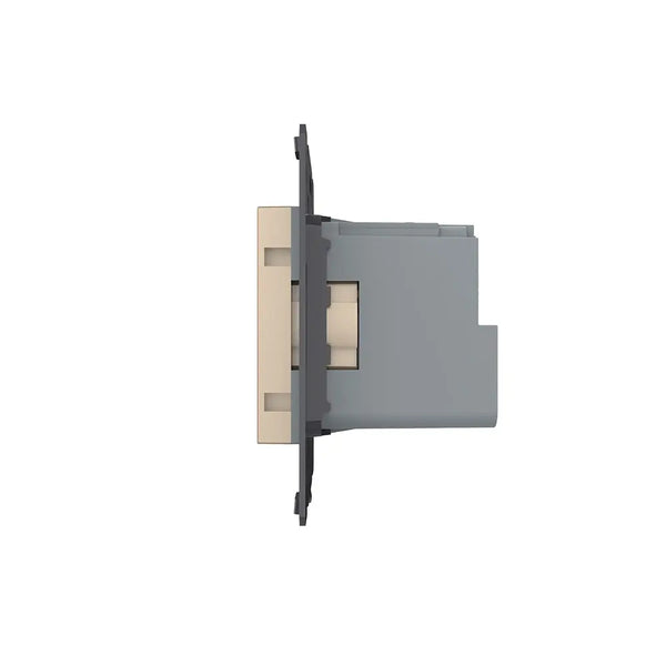 Livolo | Goud | SR | Module | Wandcontactdoos | Smart Home Livolo Nederland BV