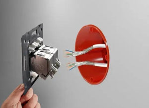 Livolo | Goud | SR | Enkel | Netwerk - RJ45 | Cat.6A Livolo Nederland B.V.