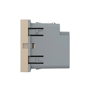 Livolo | Goud | SR | Module | Dubbele USB-C oplader 65W Livolo Nederland B.V.