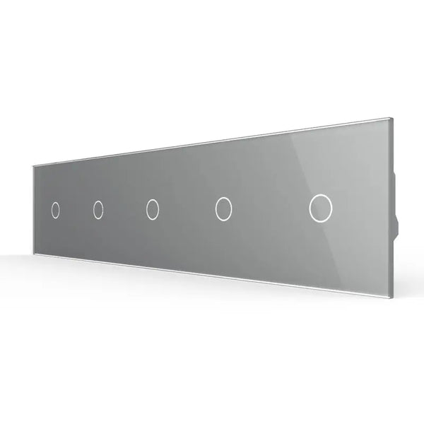 Livolo | Grijs | 1+1+1+1+1 | Aan/Uit | 12 of 24V DC | Schakelaar Livolo Nederland B.V.