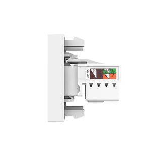 Witte multimedia wandmodule met RJ11 en RJ45 Cat6 voor netwerk en vaste telefoon