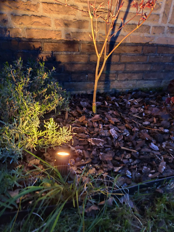 LED | Complete Tuinspot Set | 1 Tuinspot | IP65 waterdicht | Zwart | Warm/wit Livolo Nederland B.V.
