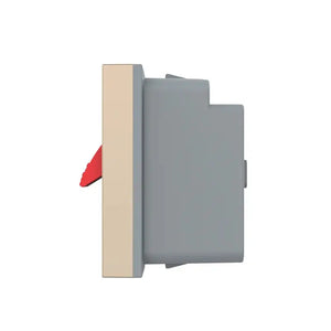 Livolo | Goud | SR | Enkel | Audio | Insteek Livolo Nederland B.V.