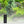 Buiten Wandcontactdoos | Zwart | 2 Stopcontacten | Waterdicht Livolo Nederland B.V.